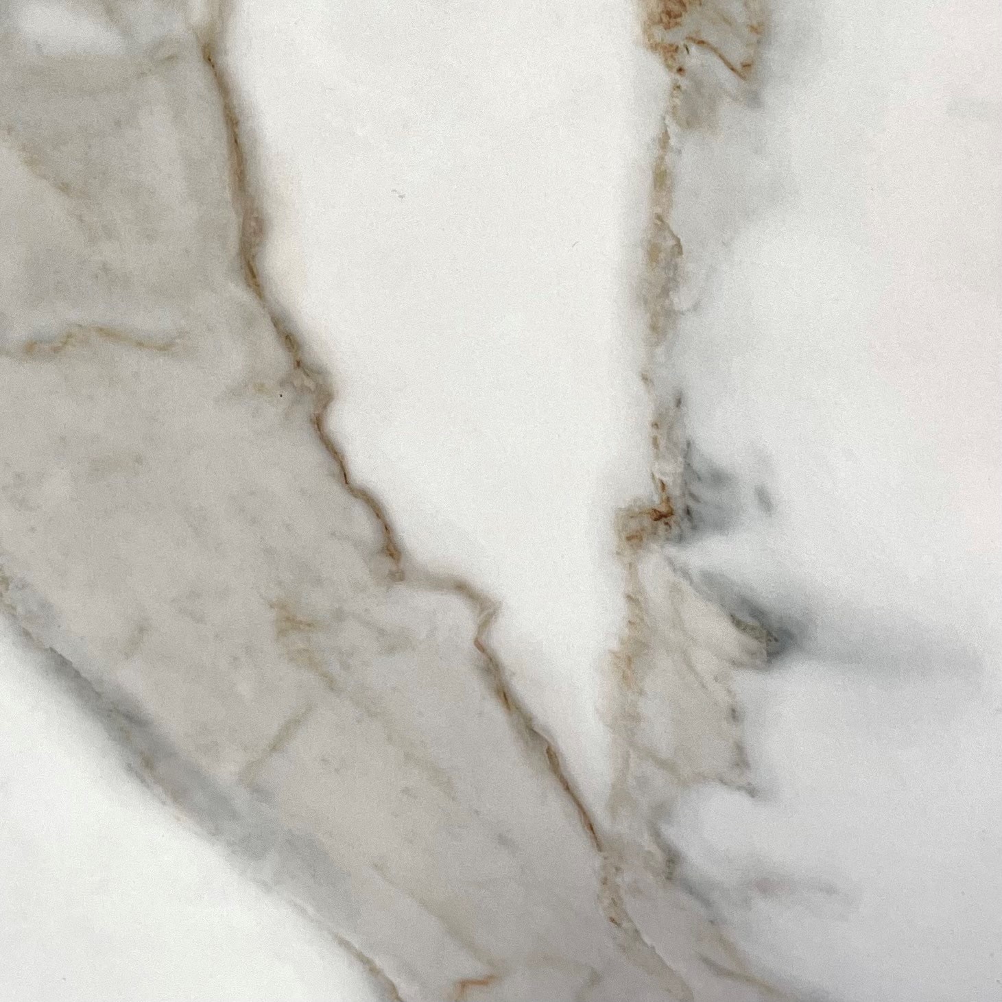 Calacatta Gold Top