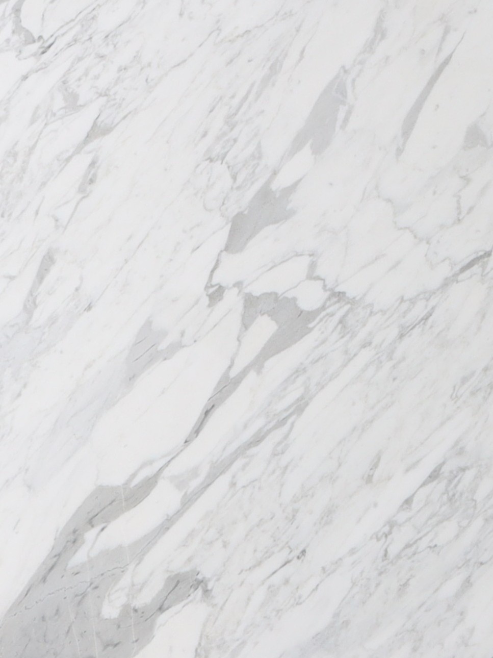 Calacatta Carrara